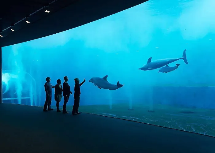 Διαμέρισμα Fornaci 9 Rivieraholiday Pietra Ligure